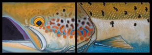 atlantic_salmon2