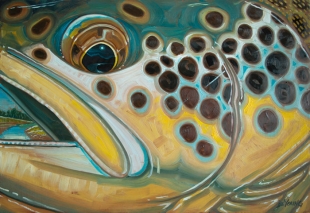 deyoung_browntrout