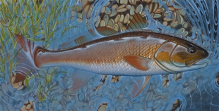 redfish_oysterbar