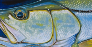 snook