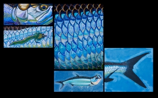 tarpon_5panel