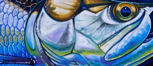 tarpon_face2