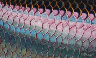 tarpon_scales