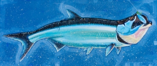 whole_tarpon