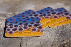 Brown Trout Coaster Set