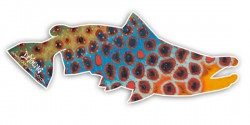 Brown Trout Flank – Blue Cutout Decal
