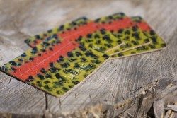 Rainbow Trout Coaster Set