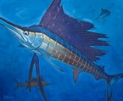 Sailfish – Deep Blue