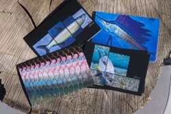 The DeYoung Saltwater Note Card Pack