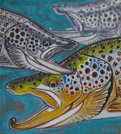 Evolution of A Brown Trout