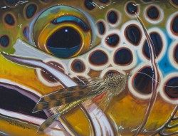 Abstract Brown – Muddler
