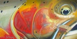 Abstract Cutthroat – Stimulator