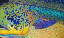 Mahi Mahi