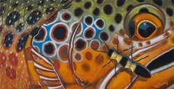 Abstract Brown – Beetle