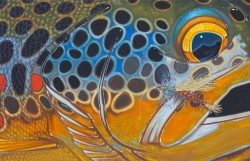 Abstract Brown – Stimie