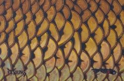 Carp Flank