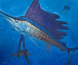 Sailfish – Deep Blue