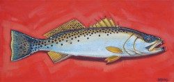 Speckled Trout