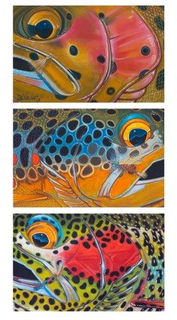 Trout Trio – Bow, Brown, Brook with Flies 2