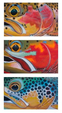 Trout Trio – Bow, Cutt, Brown