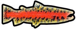 Rainbow Trout Magnet