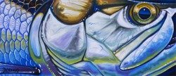 Tarpon Face – Blue