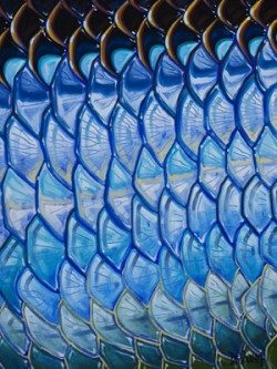 Tarpon Flank – Blue