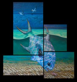 4 Panel Permit – Stormy