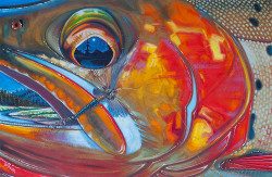 Abstract Cutthroat – Slough Creek