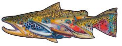 Fab Four – Trout Decal