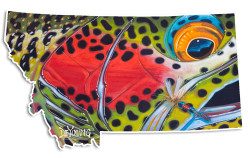 Montana – Rainbow Royal Wulff Decal
