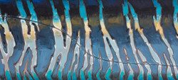 Abstract Wahoo Flank – Stripes