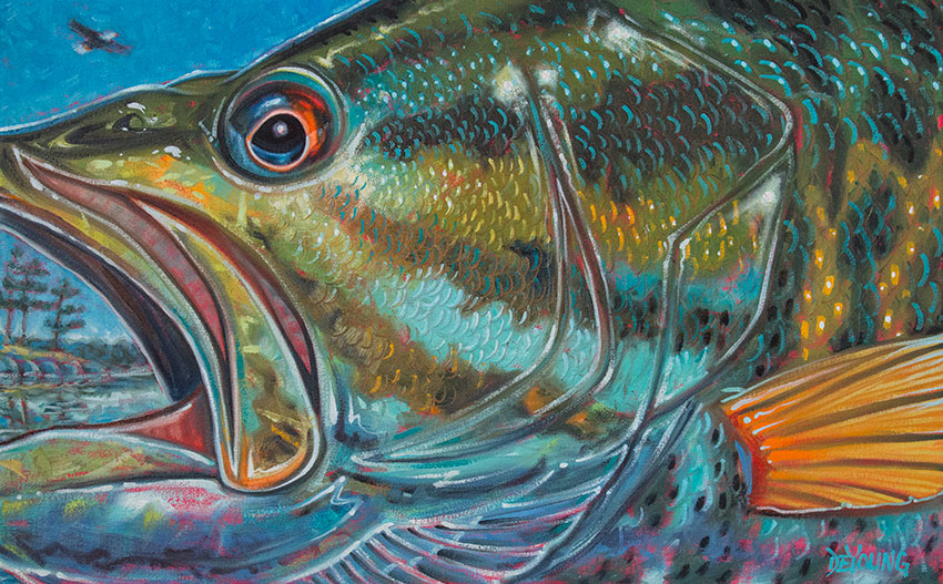 Bass Fishing Flies. Fine art print.