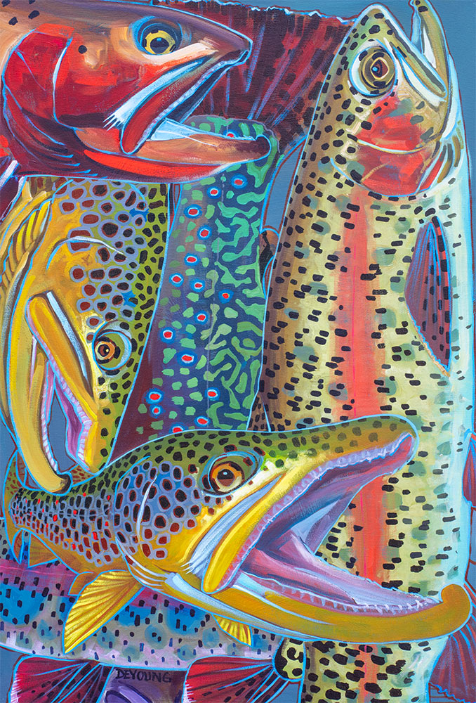 Rainbow Trout Canvas Prints